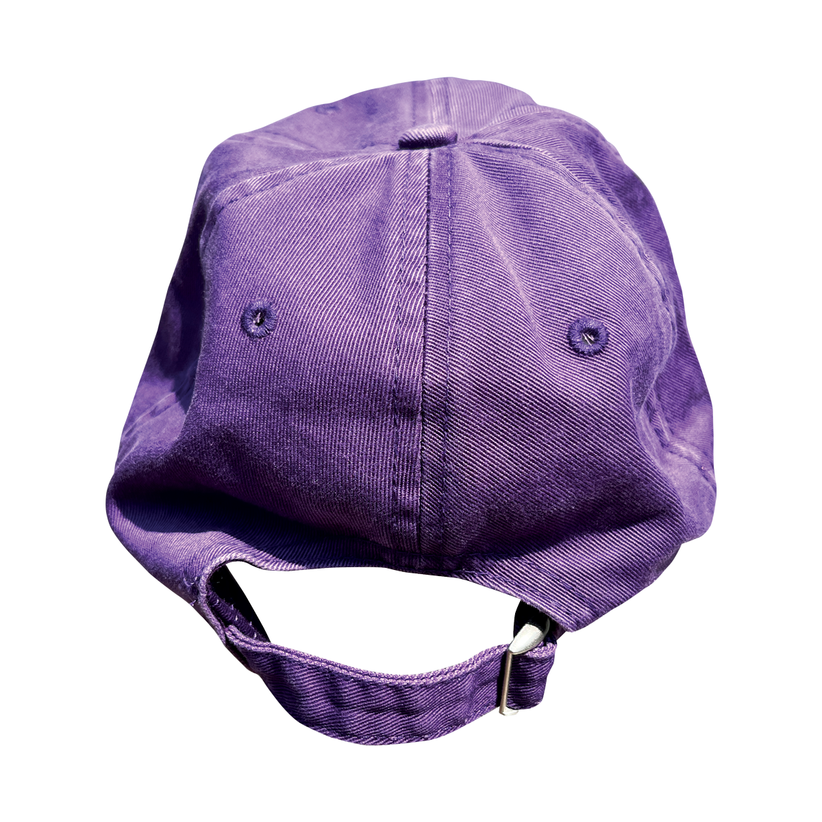 Ball Cap - "Dog Tro Vert"