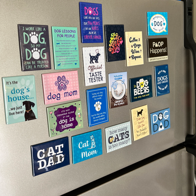 Rectangle Magnet Assortment  (Magnets ONLY)