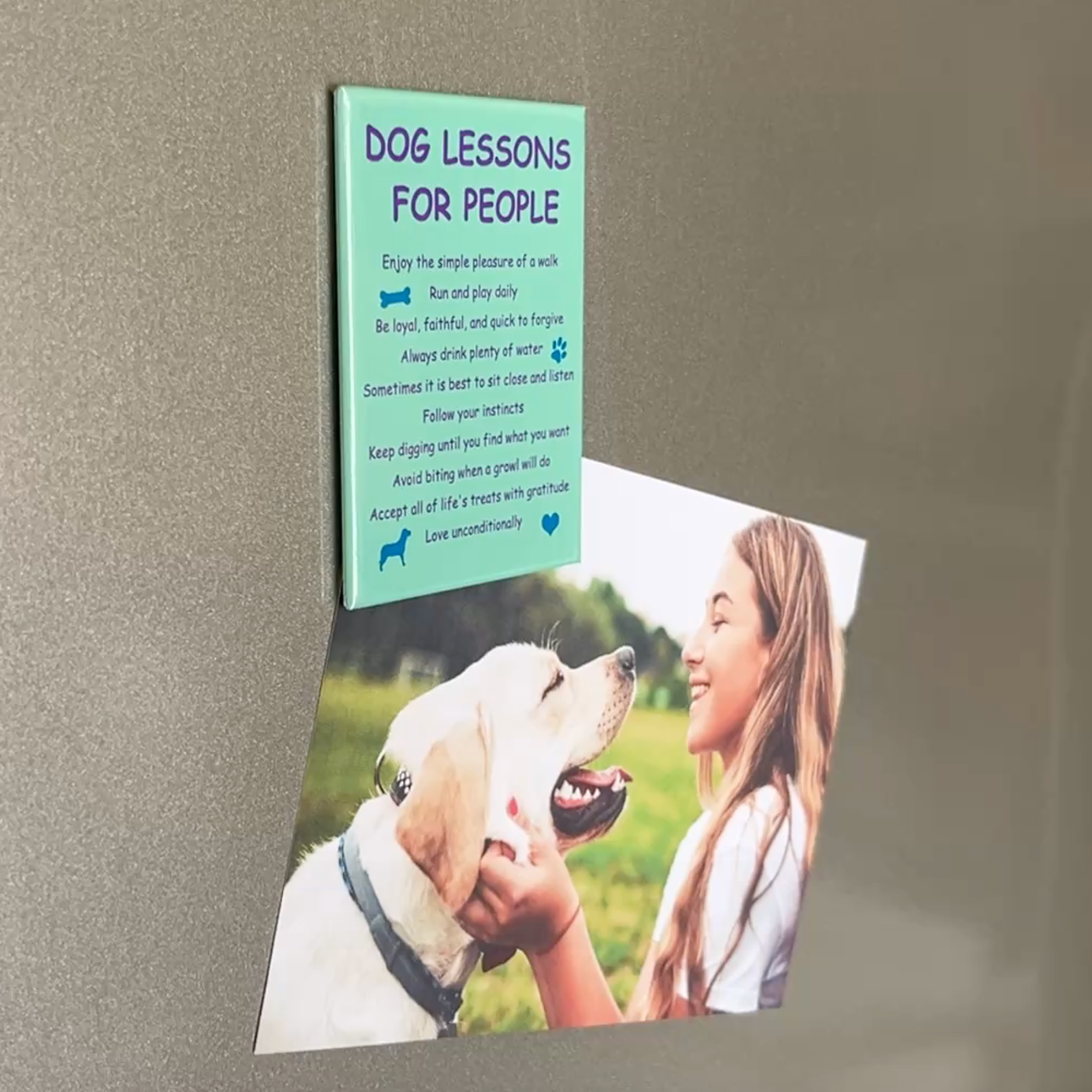 Rectangle Magnet - Dog Lessons For People