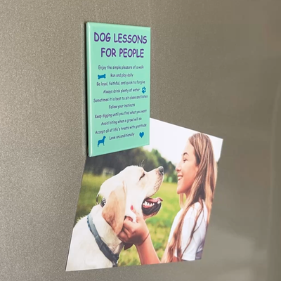 Rectangle Magnet - Dog Lessons For People