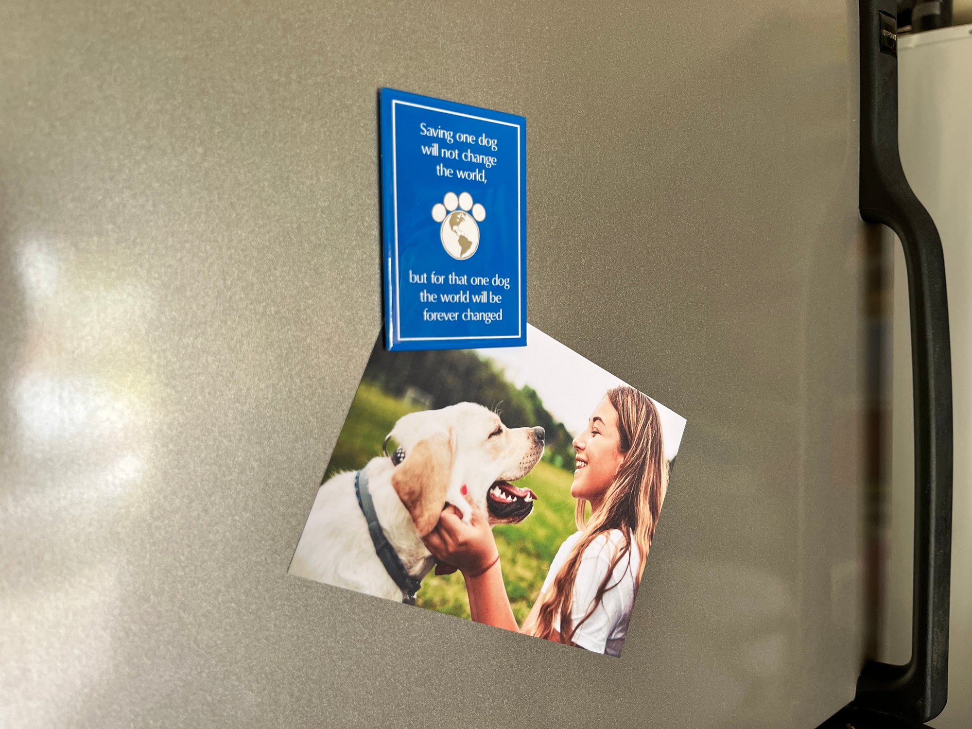 Rectangle Magnet - Saving One Dog