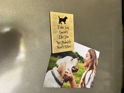 Rectangle Magnet - If Our Dog Dosen't Like You