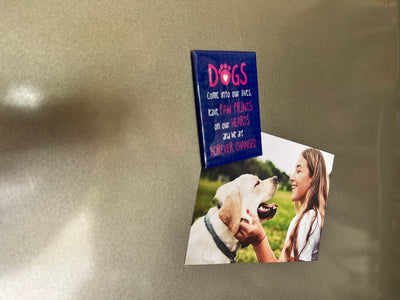 Rectangle Magnet - Dogs Come into Our Lives