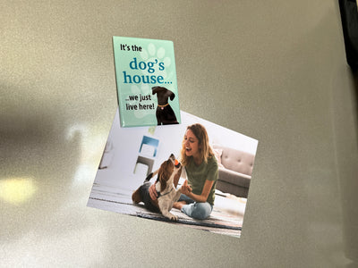 Rectangle Magnet - It's The Dog's House