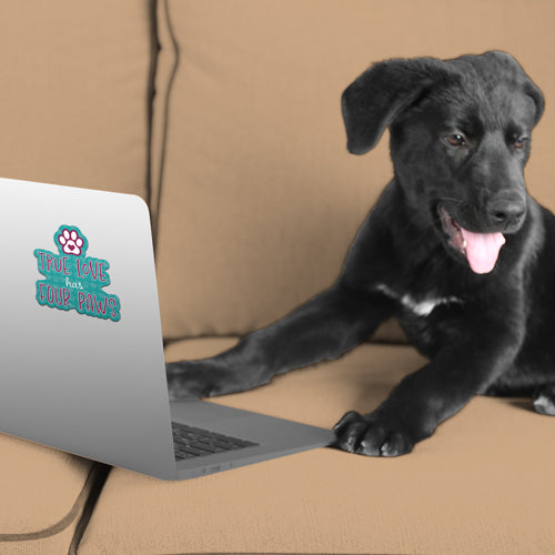 True Love Has Four Paws 3" Sticker (Decal)