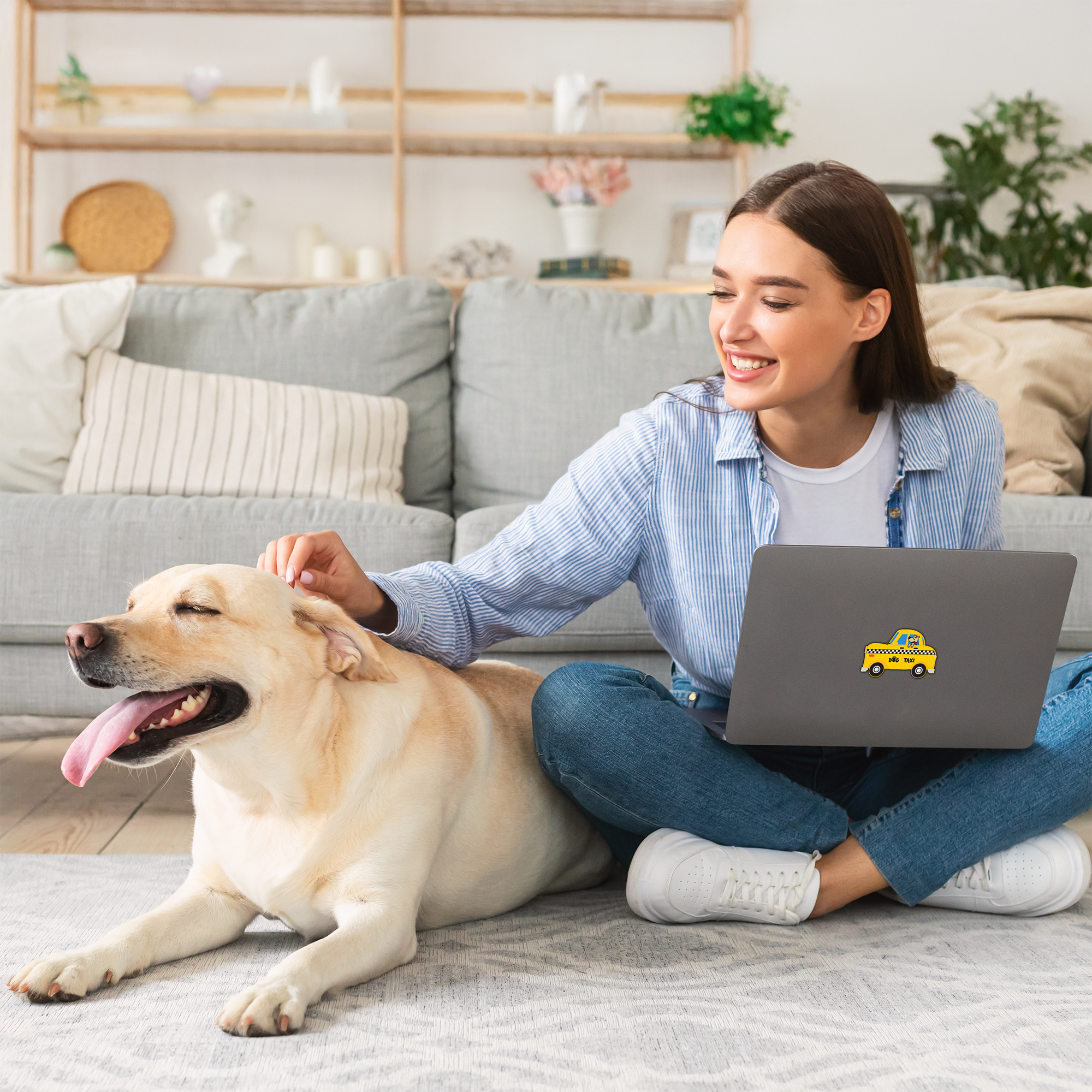 Dog Taxi 3" Sticker (Decal)