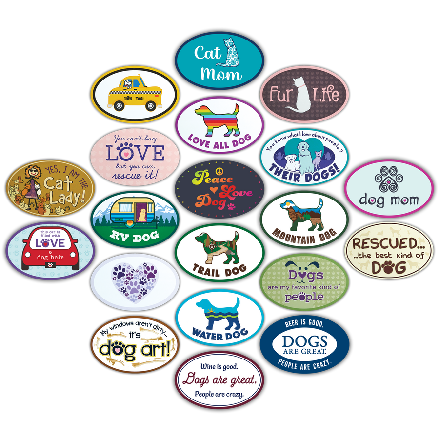 Oval Shaped Magnet Assortment