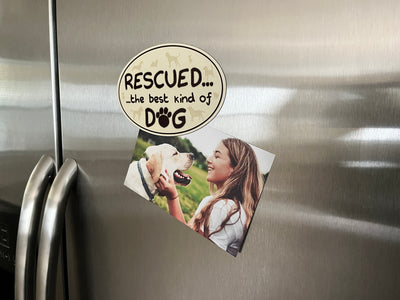 Oval Shaped Magnet Assortment