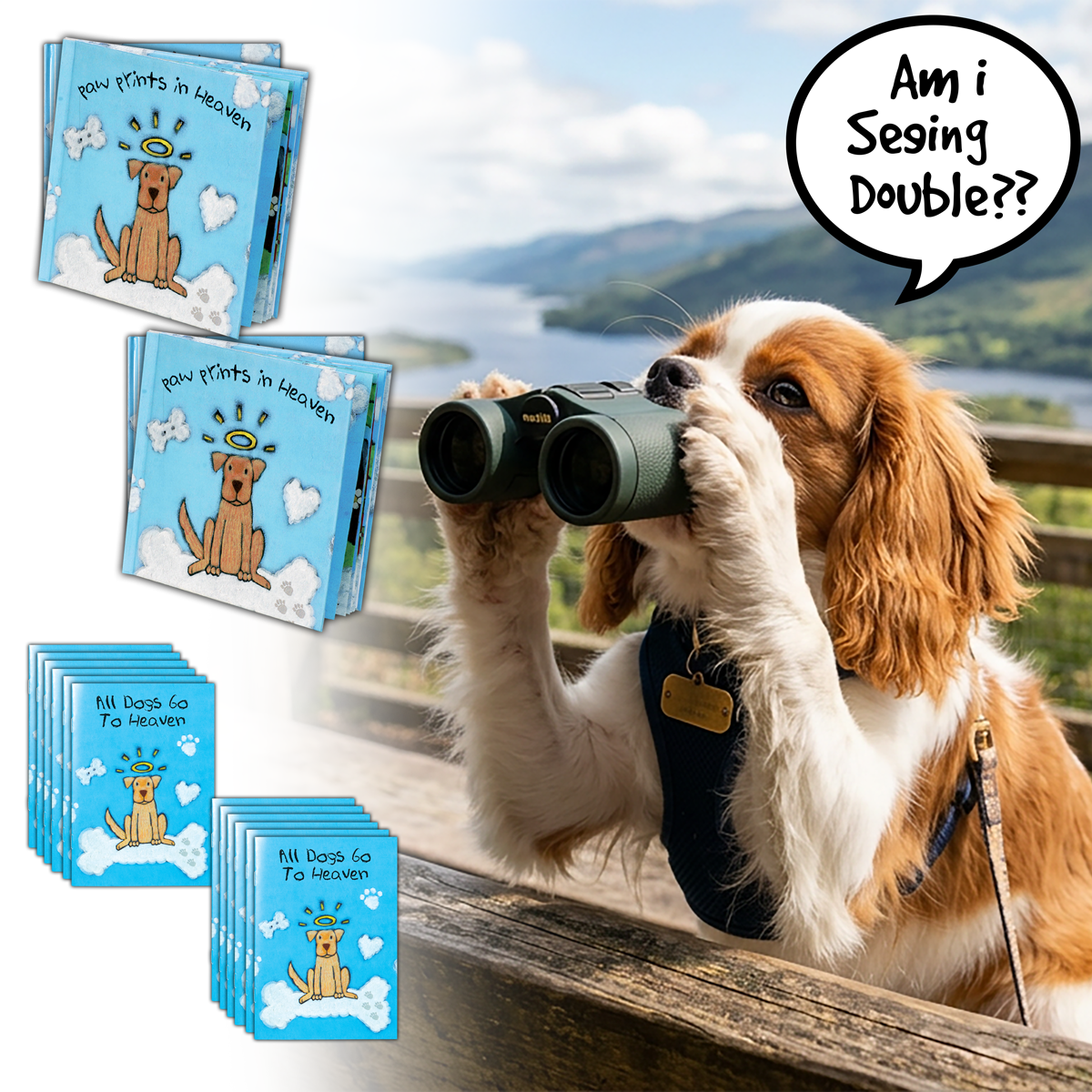 BOGO Books and Booklets