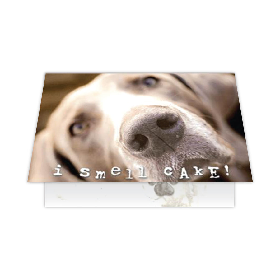 Birthday - I Smell Cake