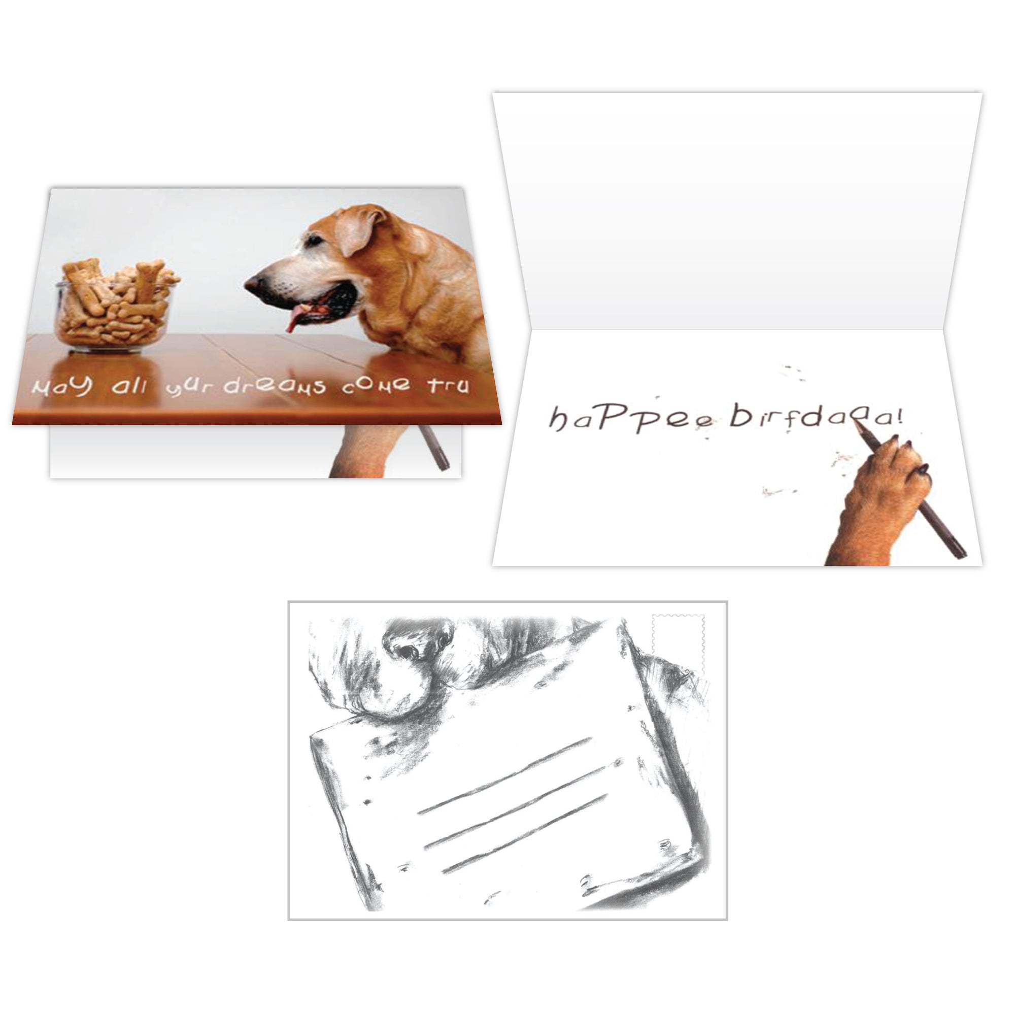 Birthday - May All Your Dreams