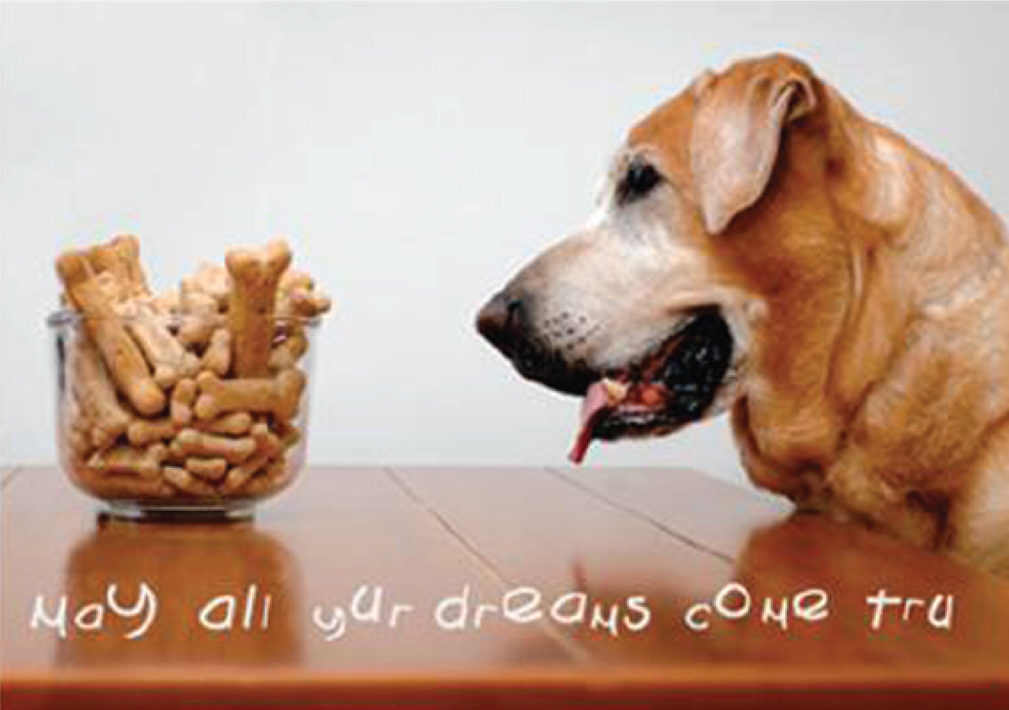 Birthday - May All Your Dreams