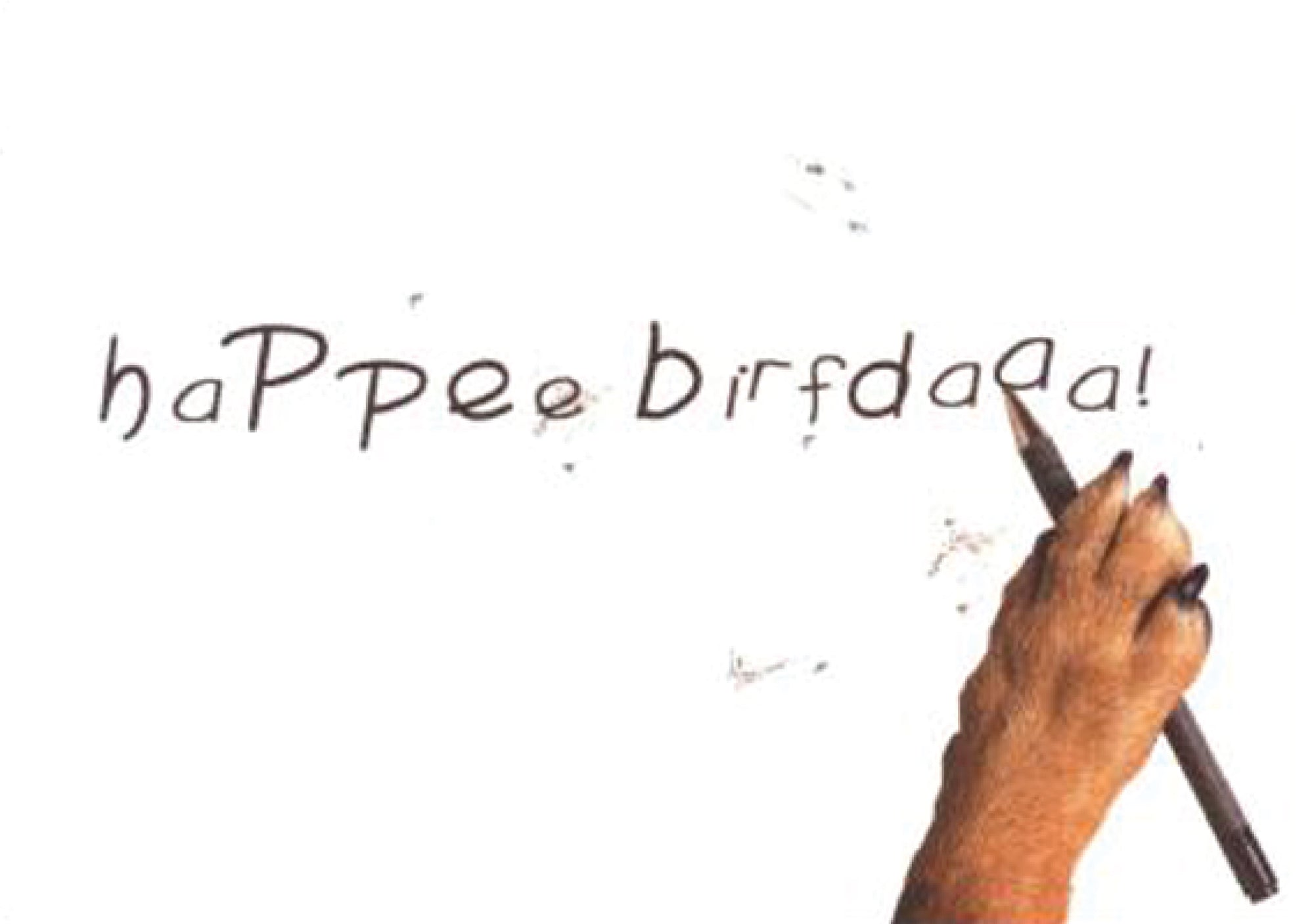 Birthday - May All Your Dreams