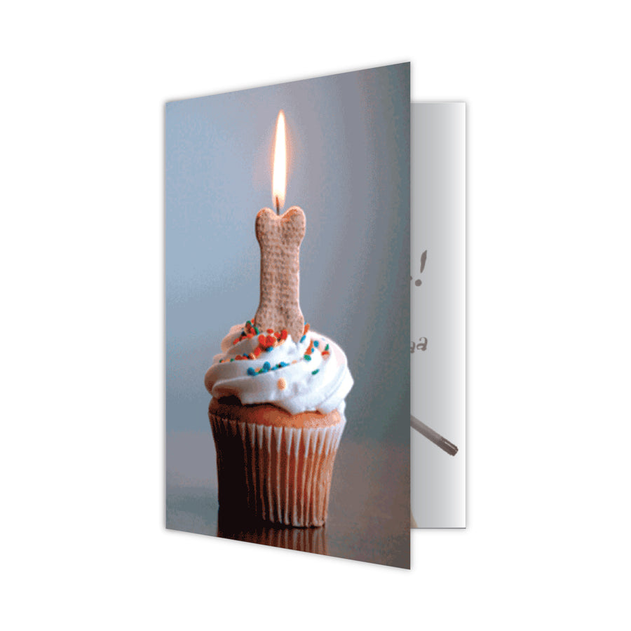 Birthday - Make a Wish