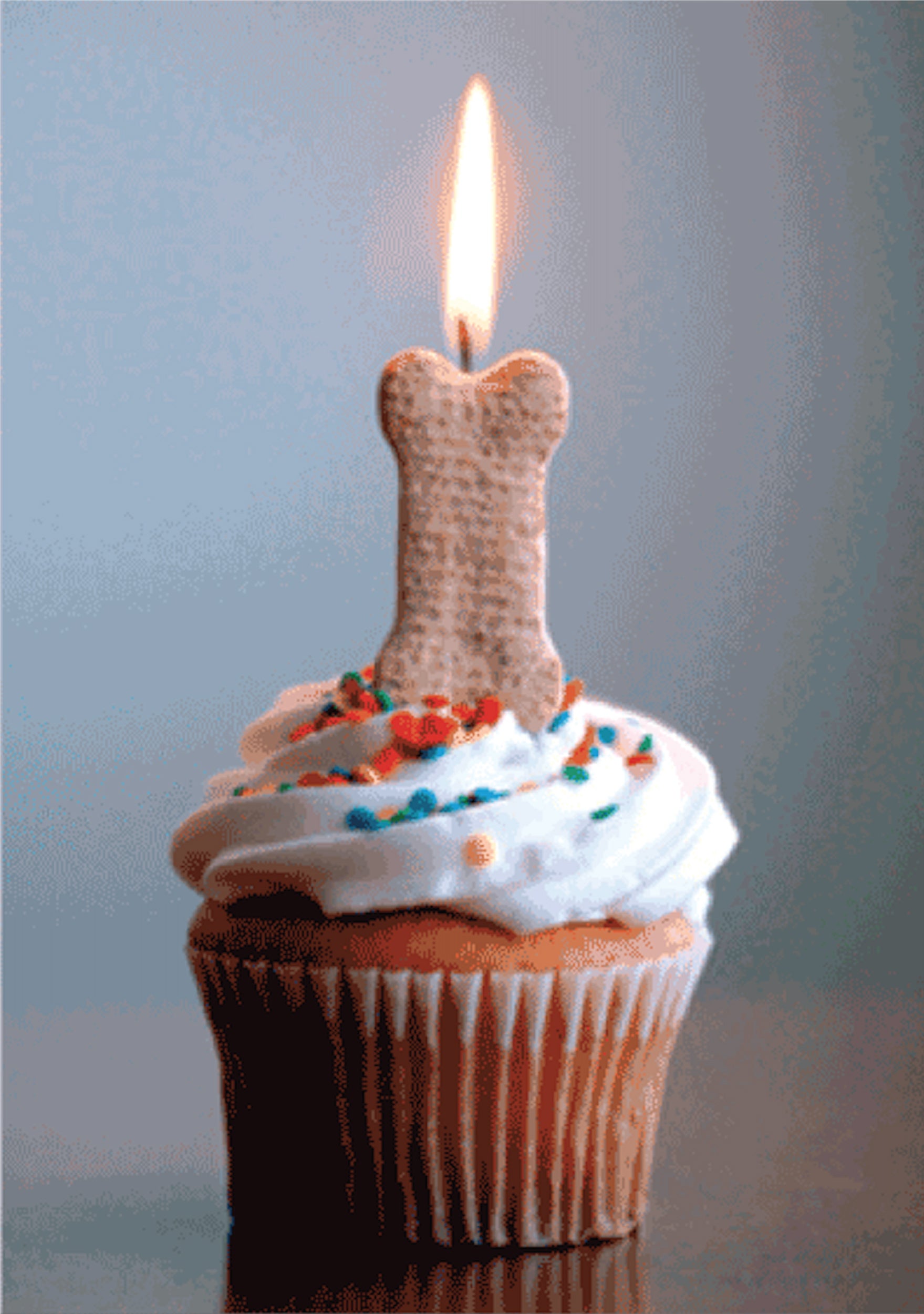 Birthday - Make a Wish