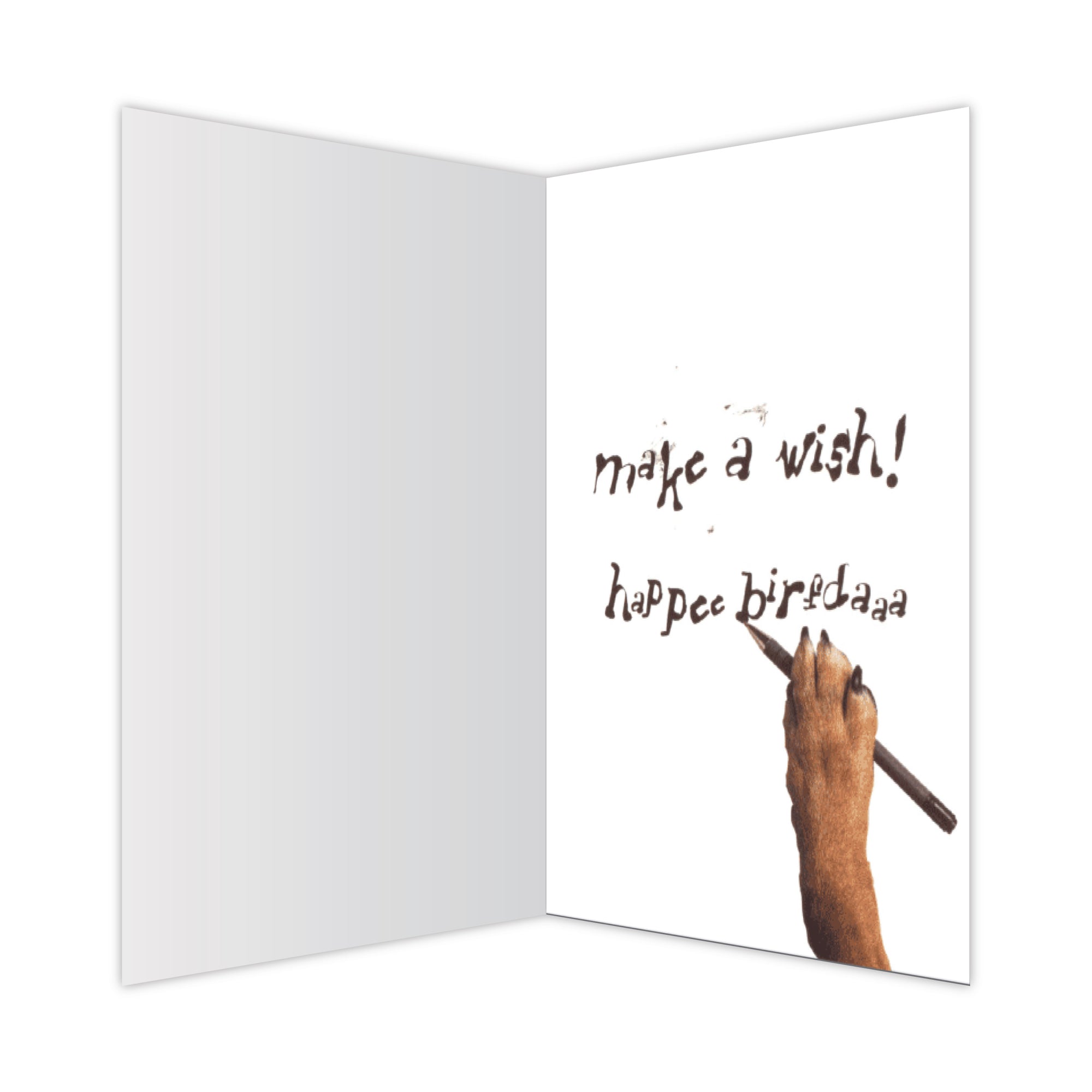 Birthday - Make a Wish