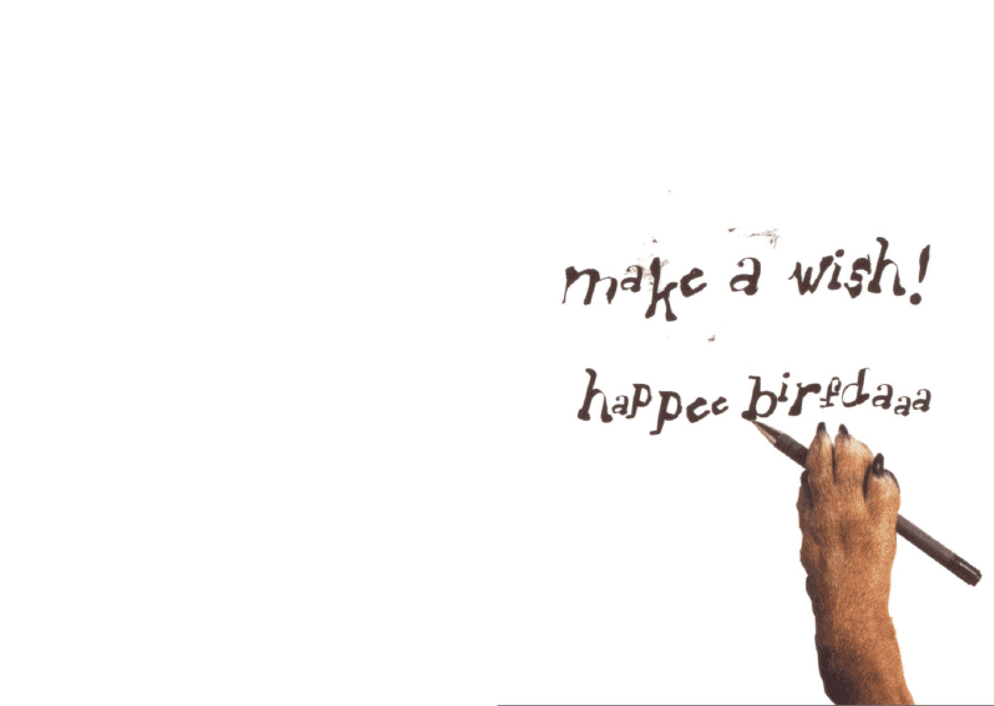 Birthday - Make a Wish