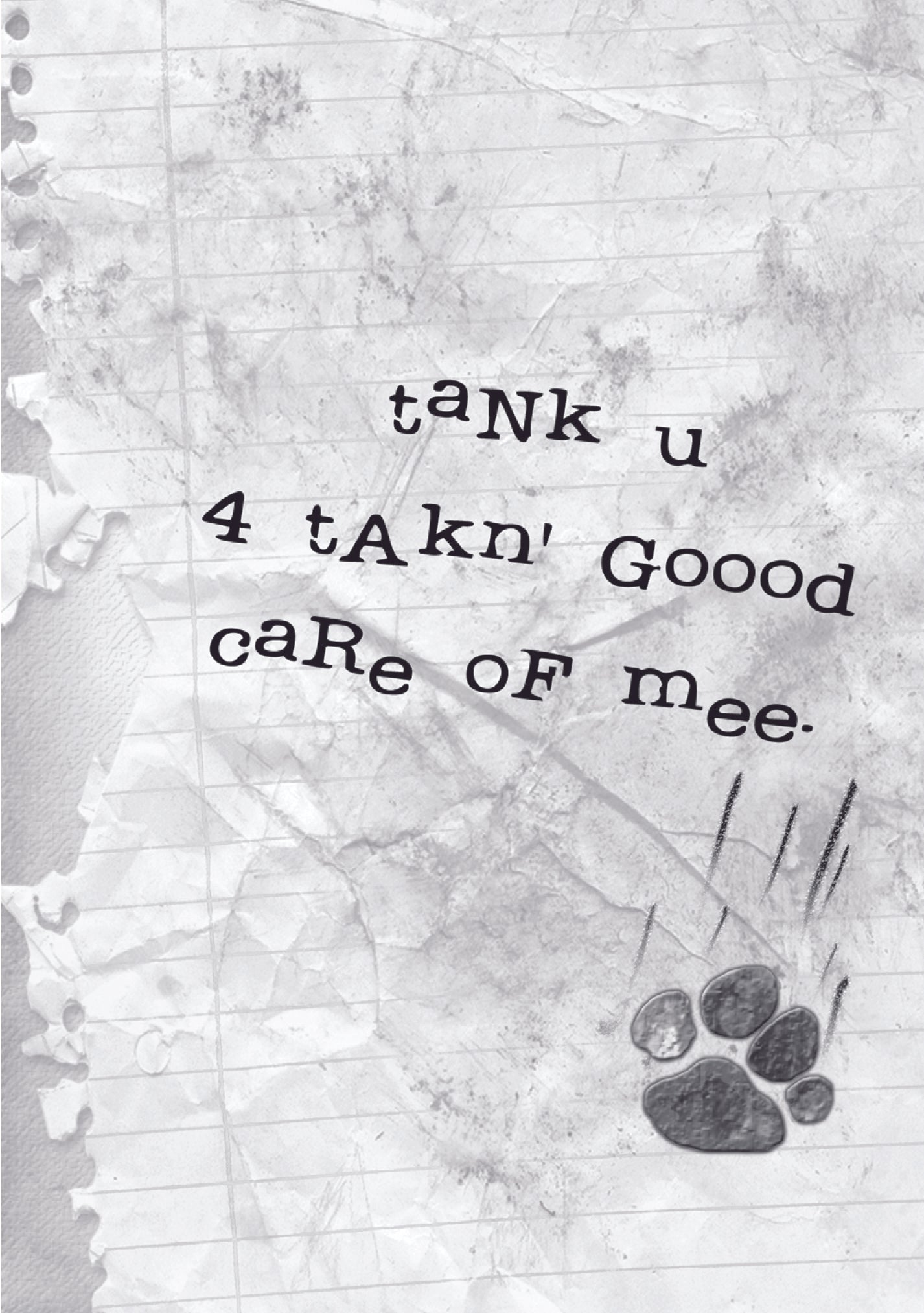 Pet Sitter - Cat Sitter Letter