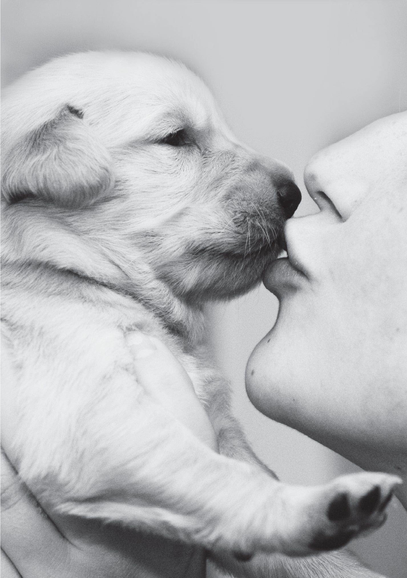 Love - Love Is All You Need