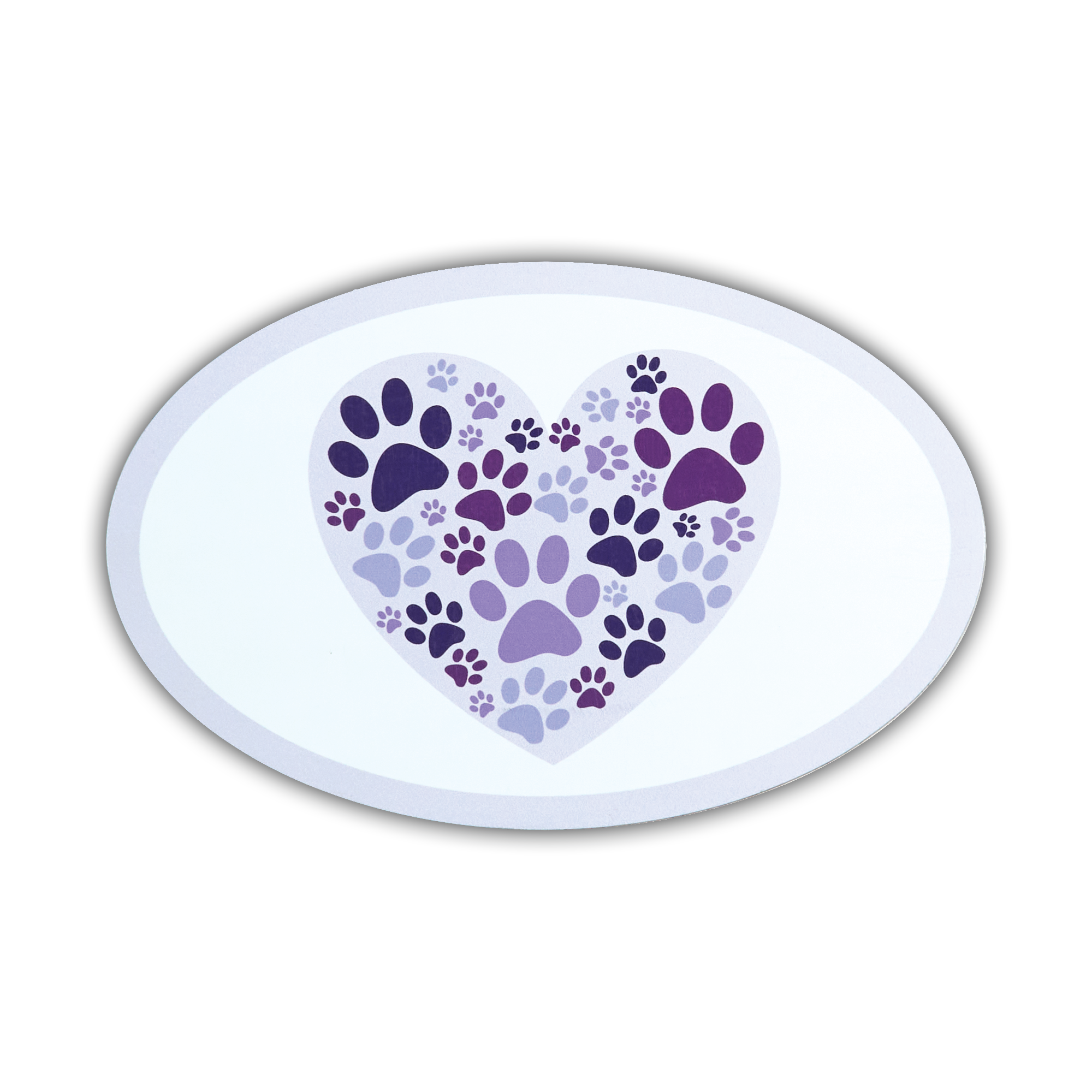 Oval Shaped Magnet Assortment