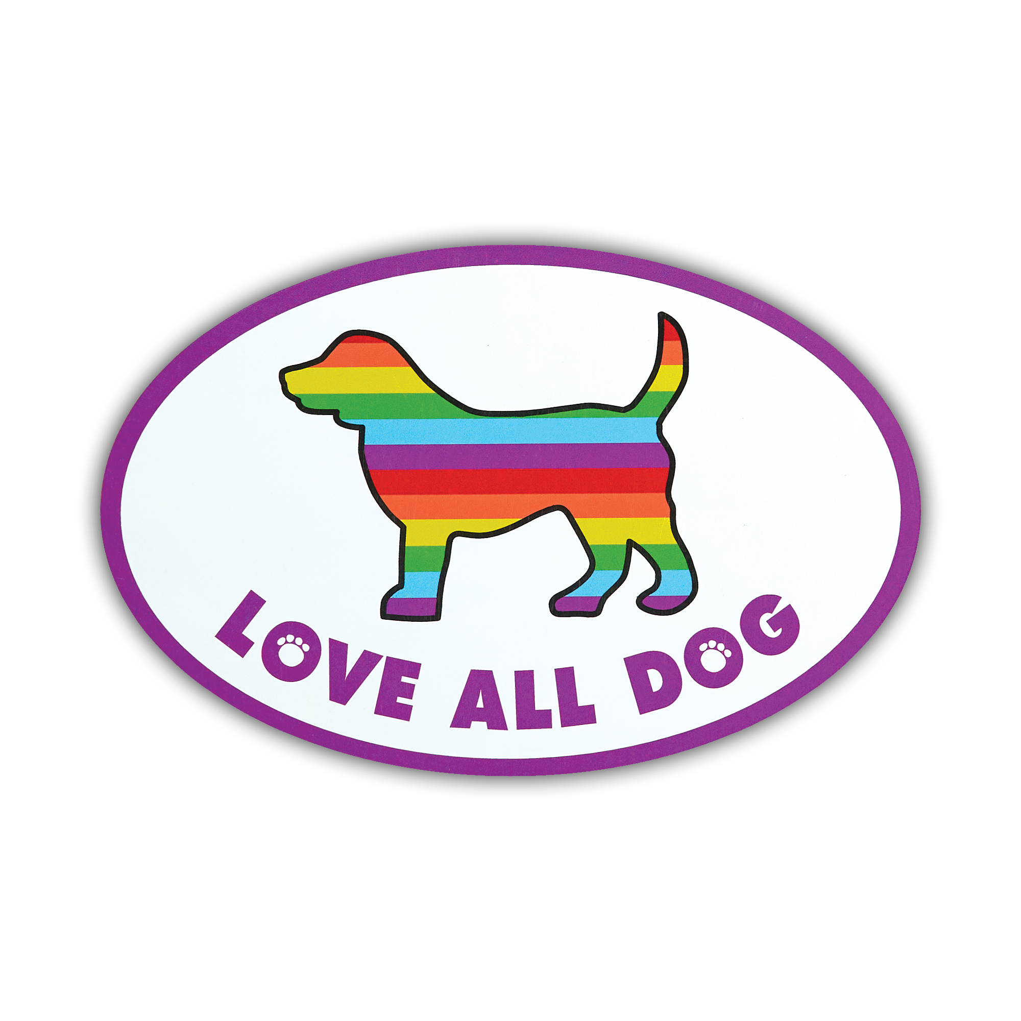 Oval Shaped Magnet Assortment