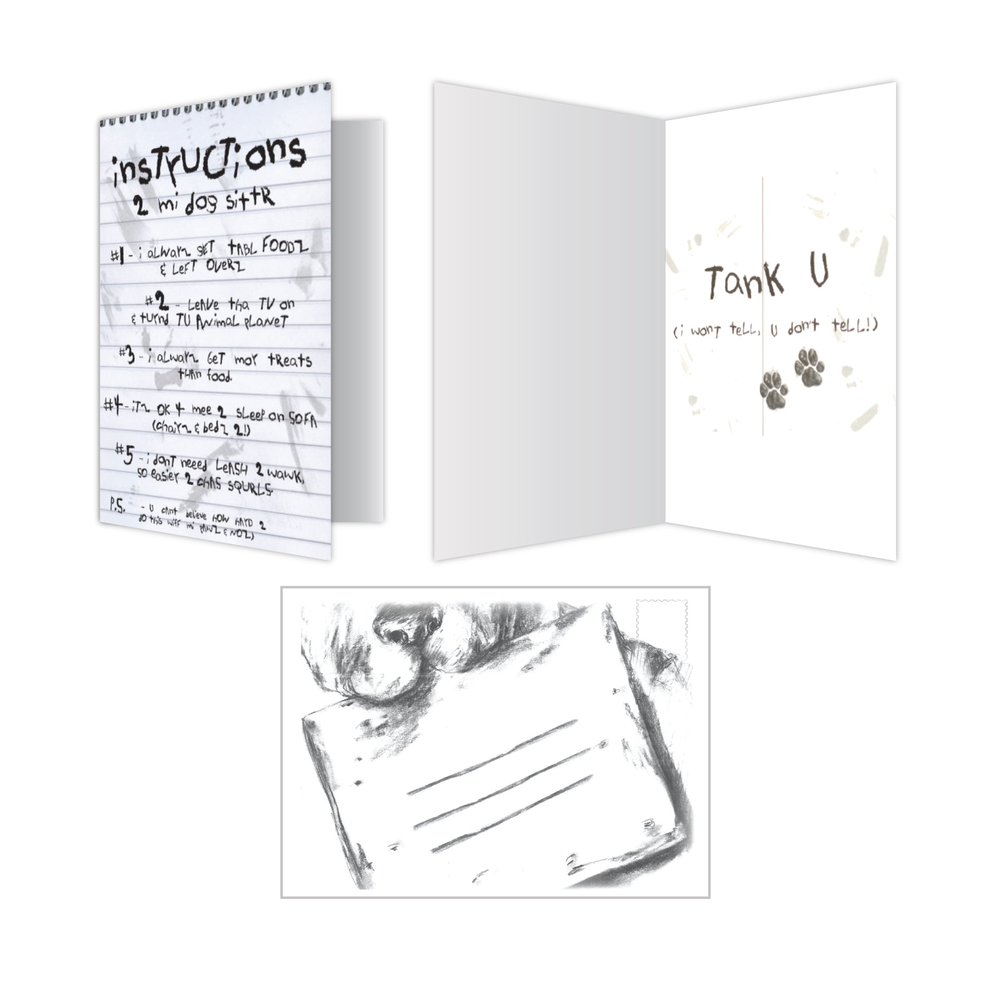 Pet Sitter - Instructions 2 Mi