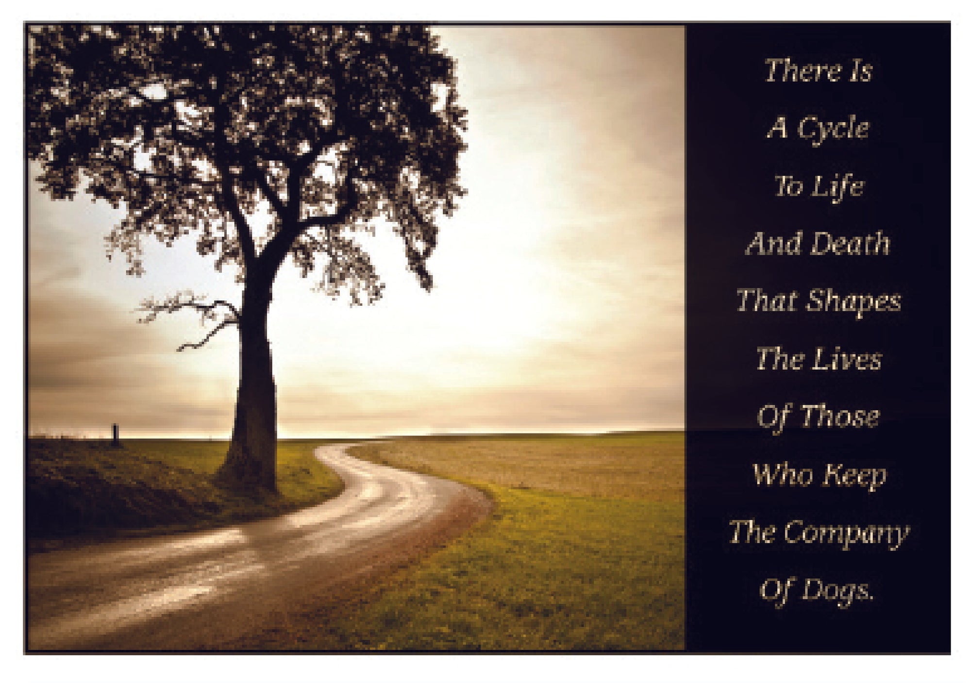 Sympathy Dog Card - There Is A Cycle