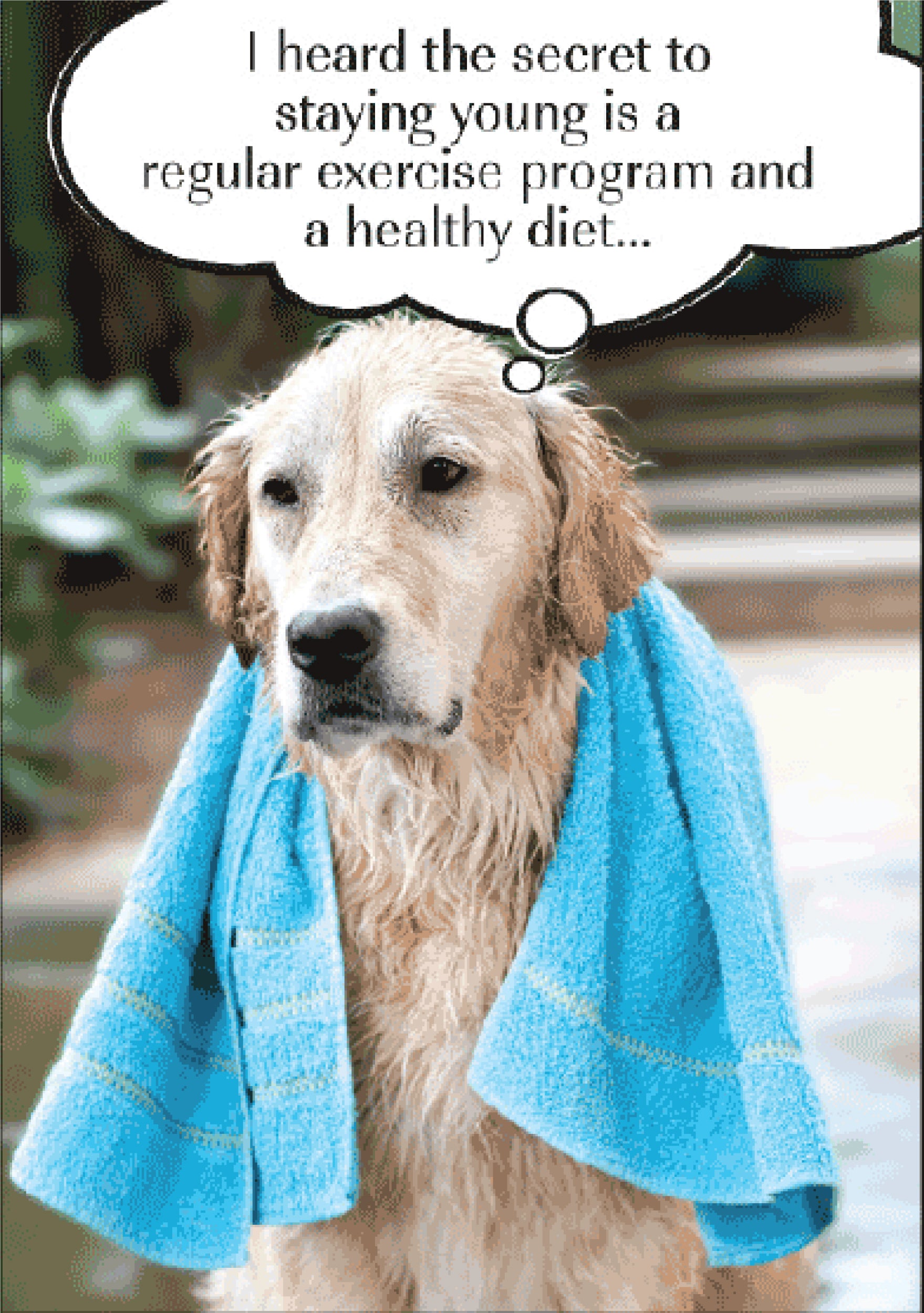 Birthday - Secret to Staying Young