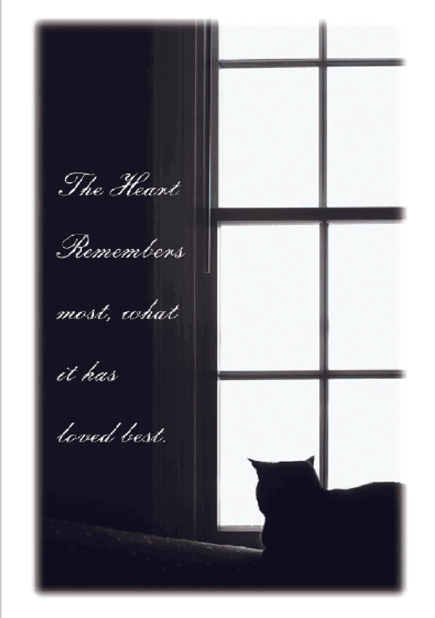 Sympathy Cat Card - The Heart Remembers