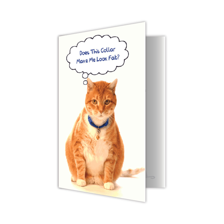 Birthday Cat Card - Does This Collar