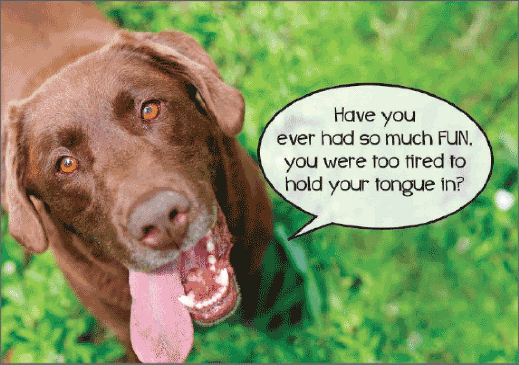 Birthday - So Much Fun