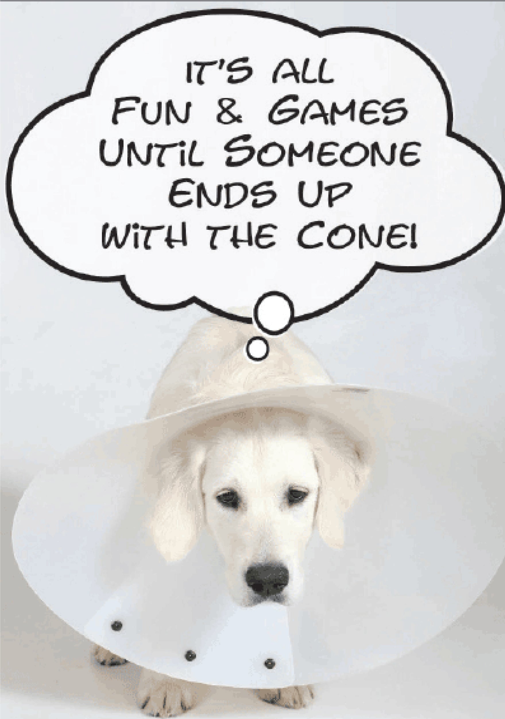 Birthday - Cone Free Birthday