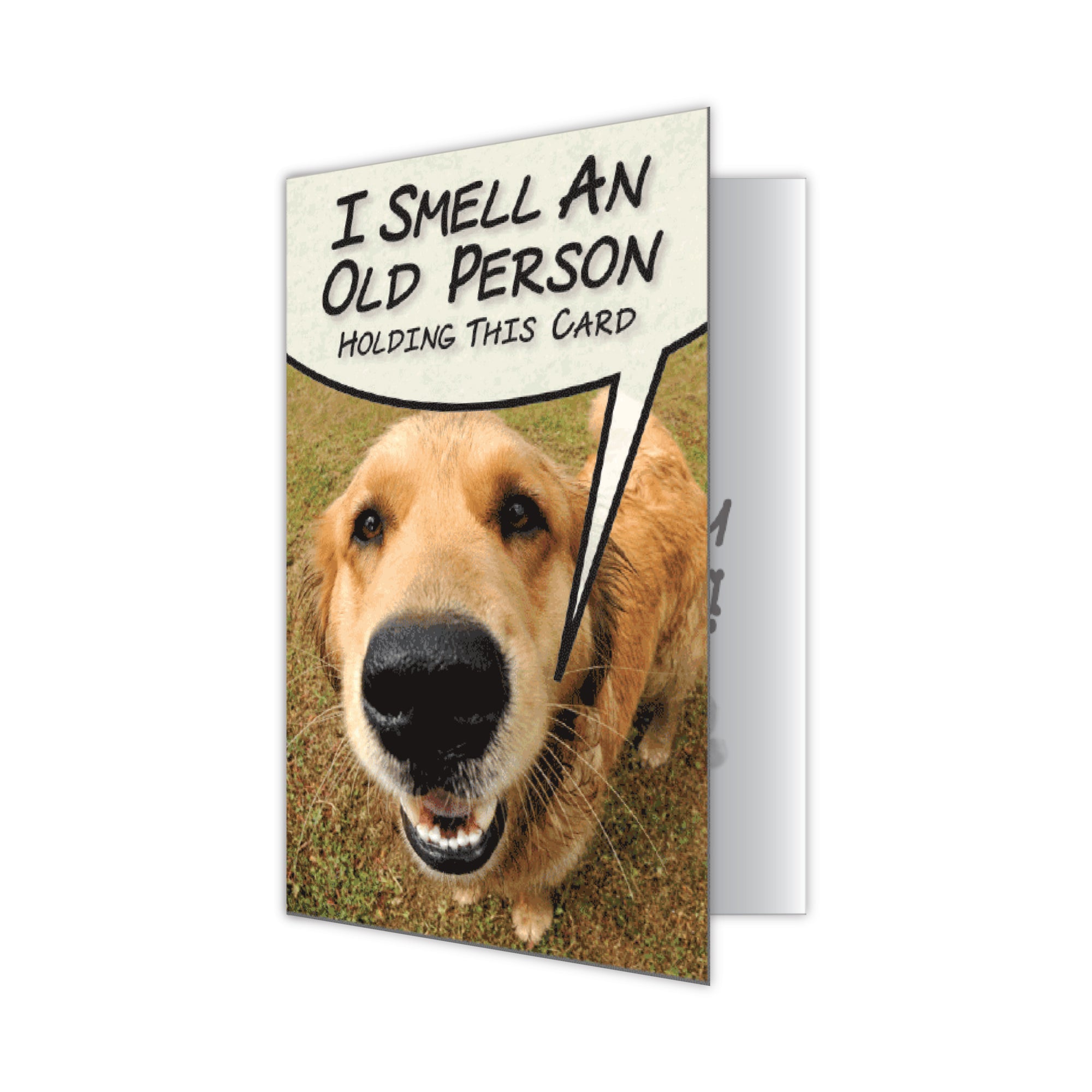 Birthday - I Smell An old Person