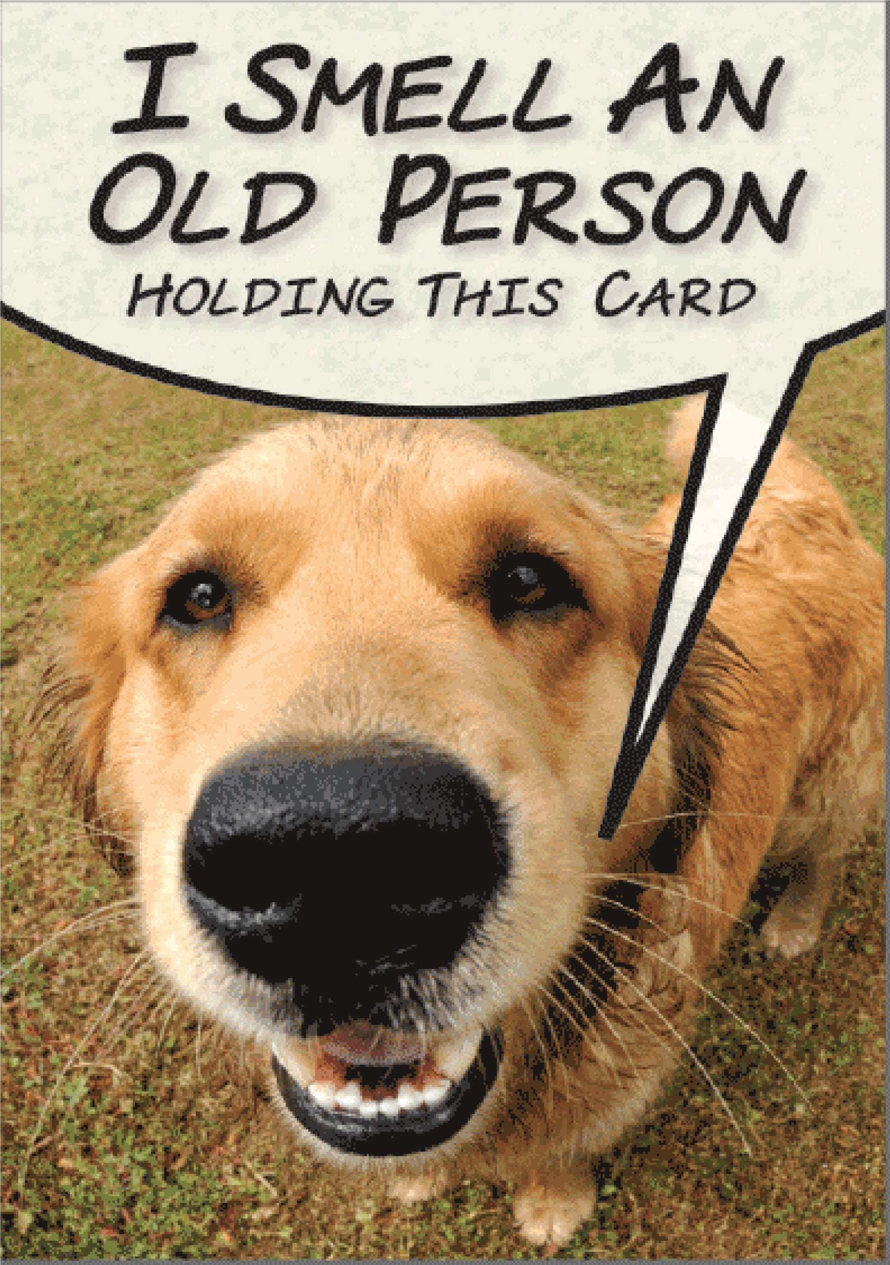 Birthday - I Smell An old Person