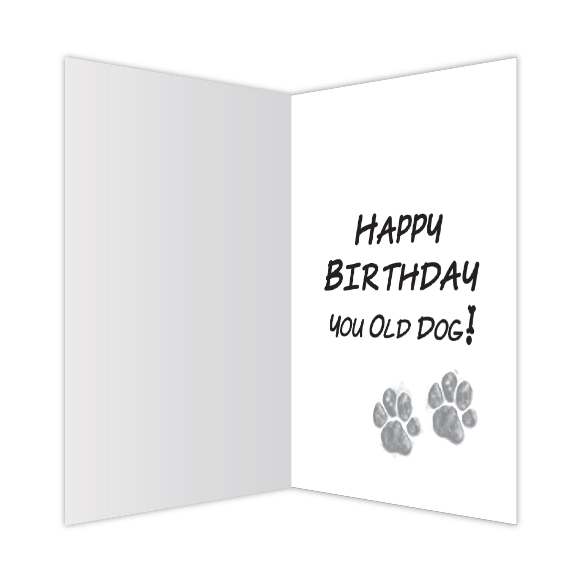 Wholesale Dog Birthday Card - I Smell An old Person