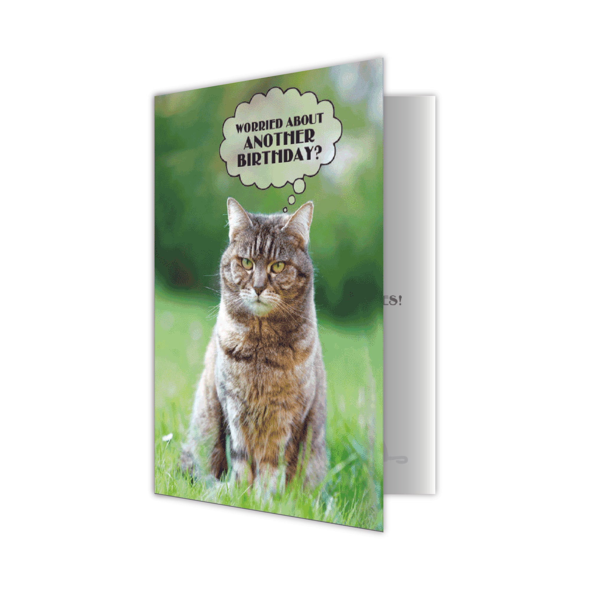 Birthday Cat Card - 9 Lives
