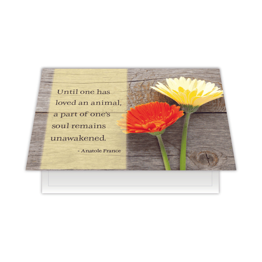 Pet Sympathy Card - Until One Has Loved An Animal