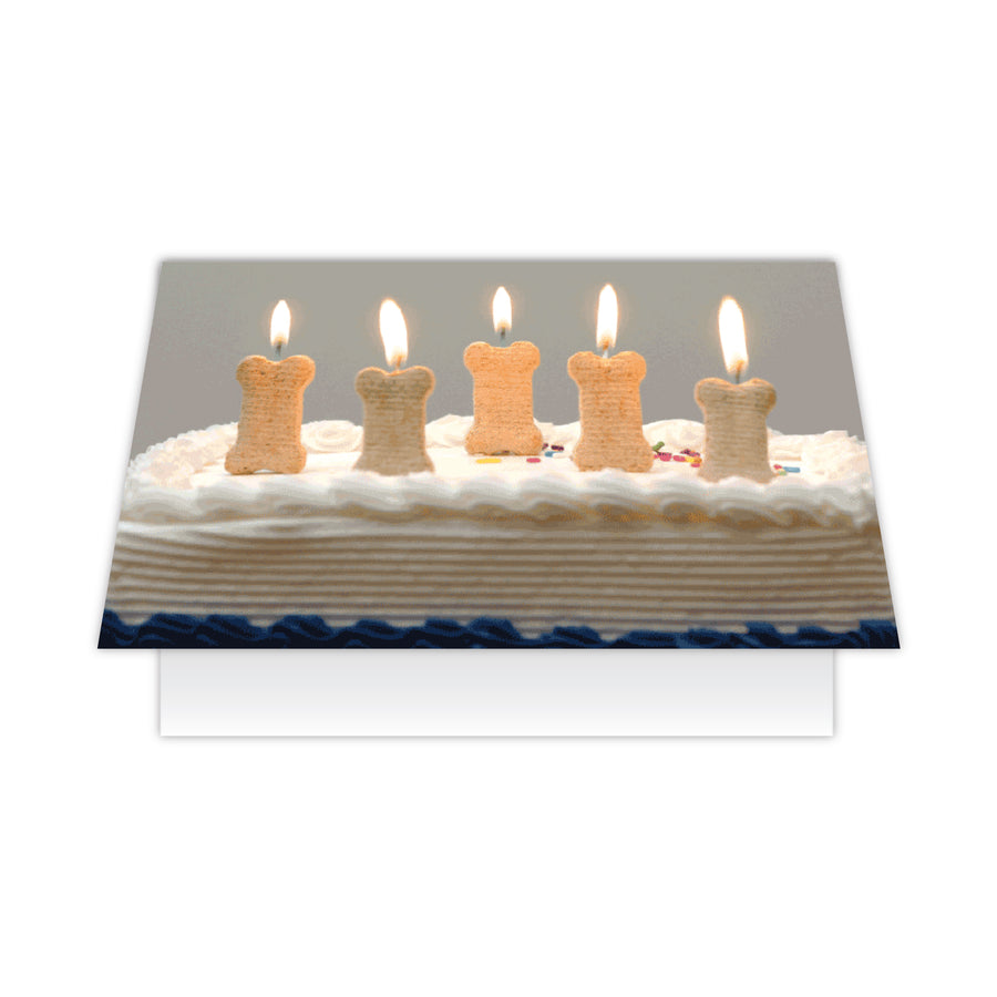 Birthday - Bone Candles