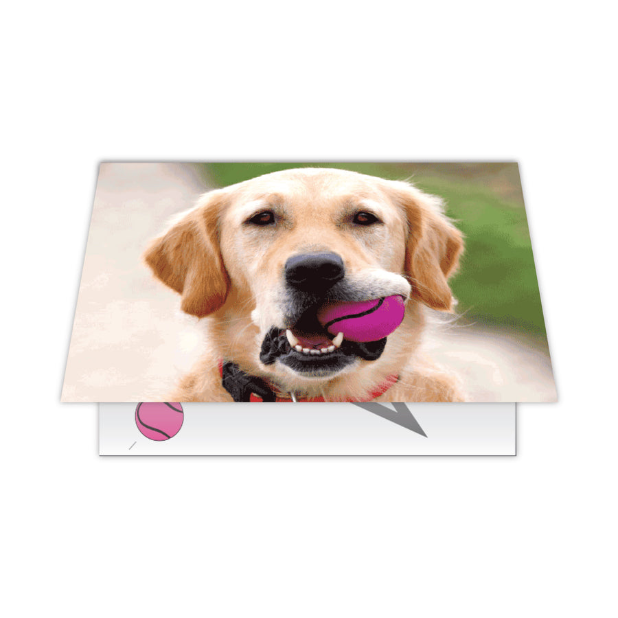 Birthday - Tennis Ball