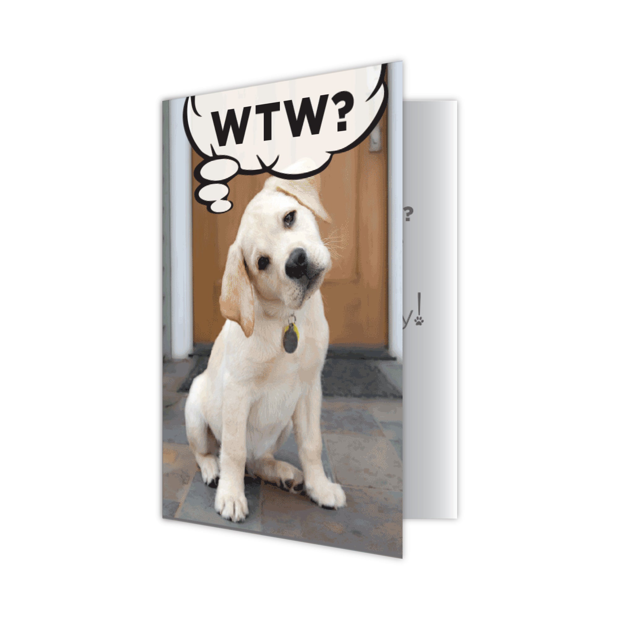 Birthday - WTW? What the Woof