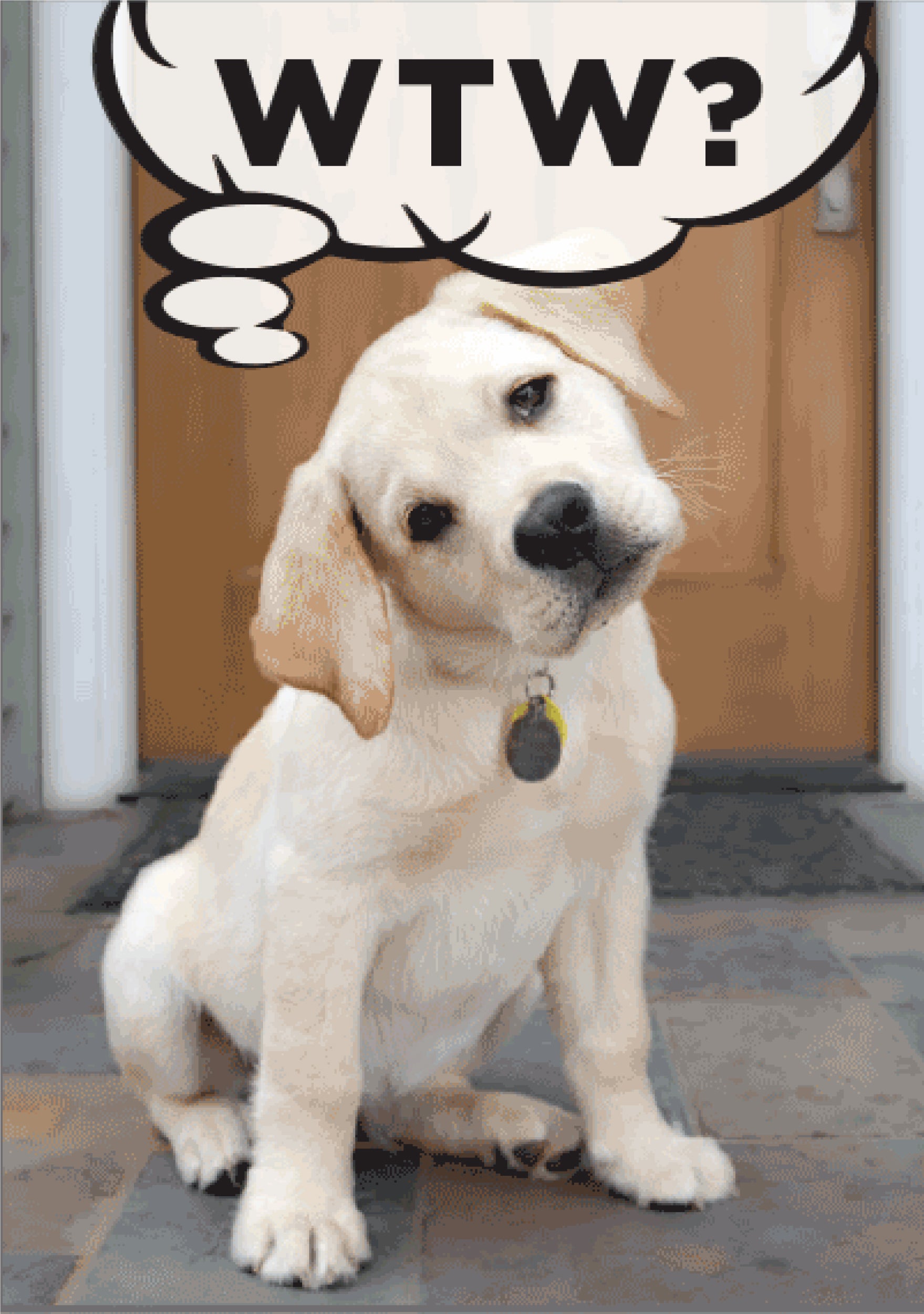 Birthday - WTW? What the Woof