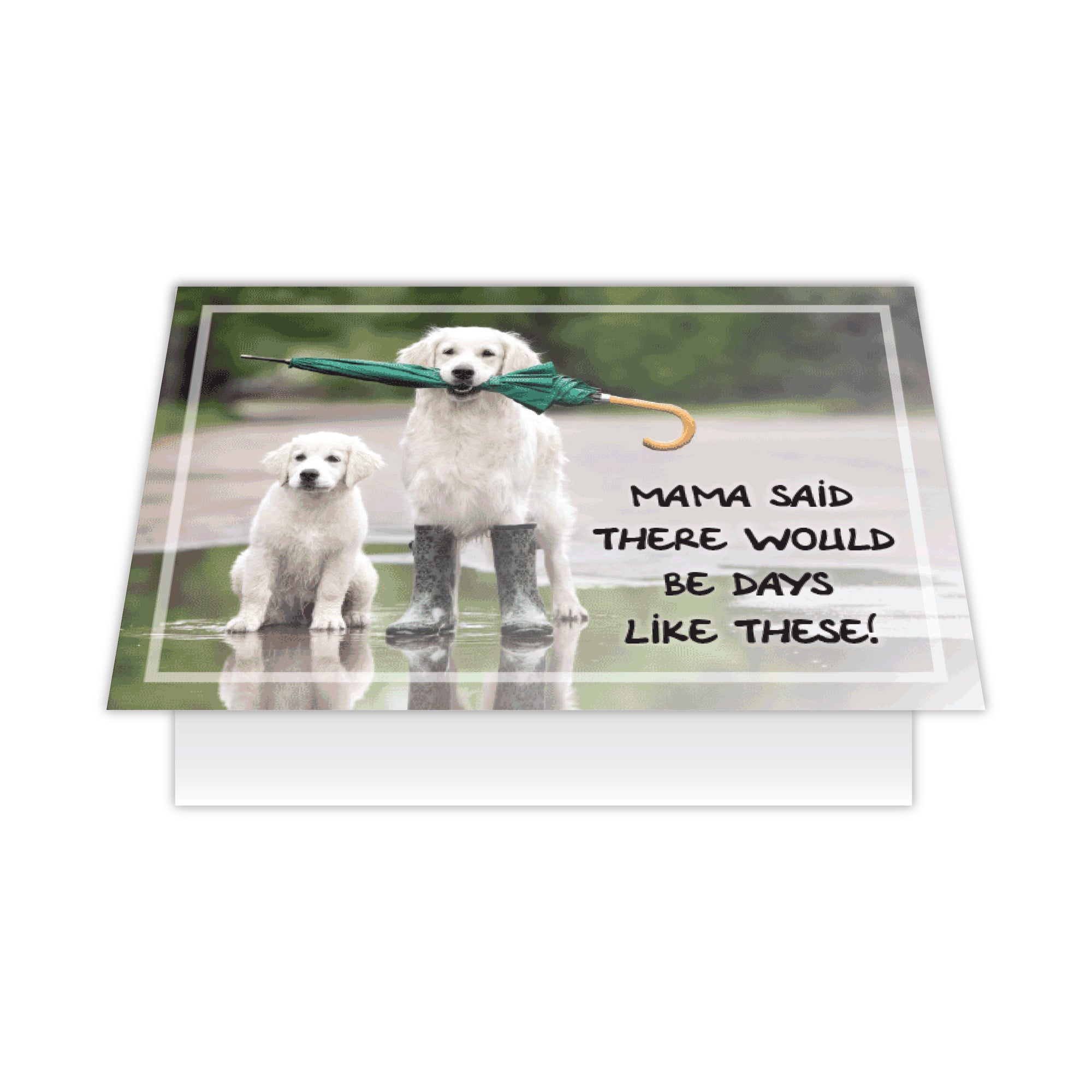 Cope Card - Mama Said There Would Be Days Like These!