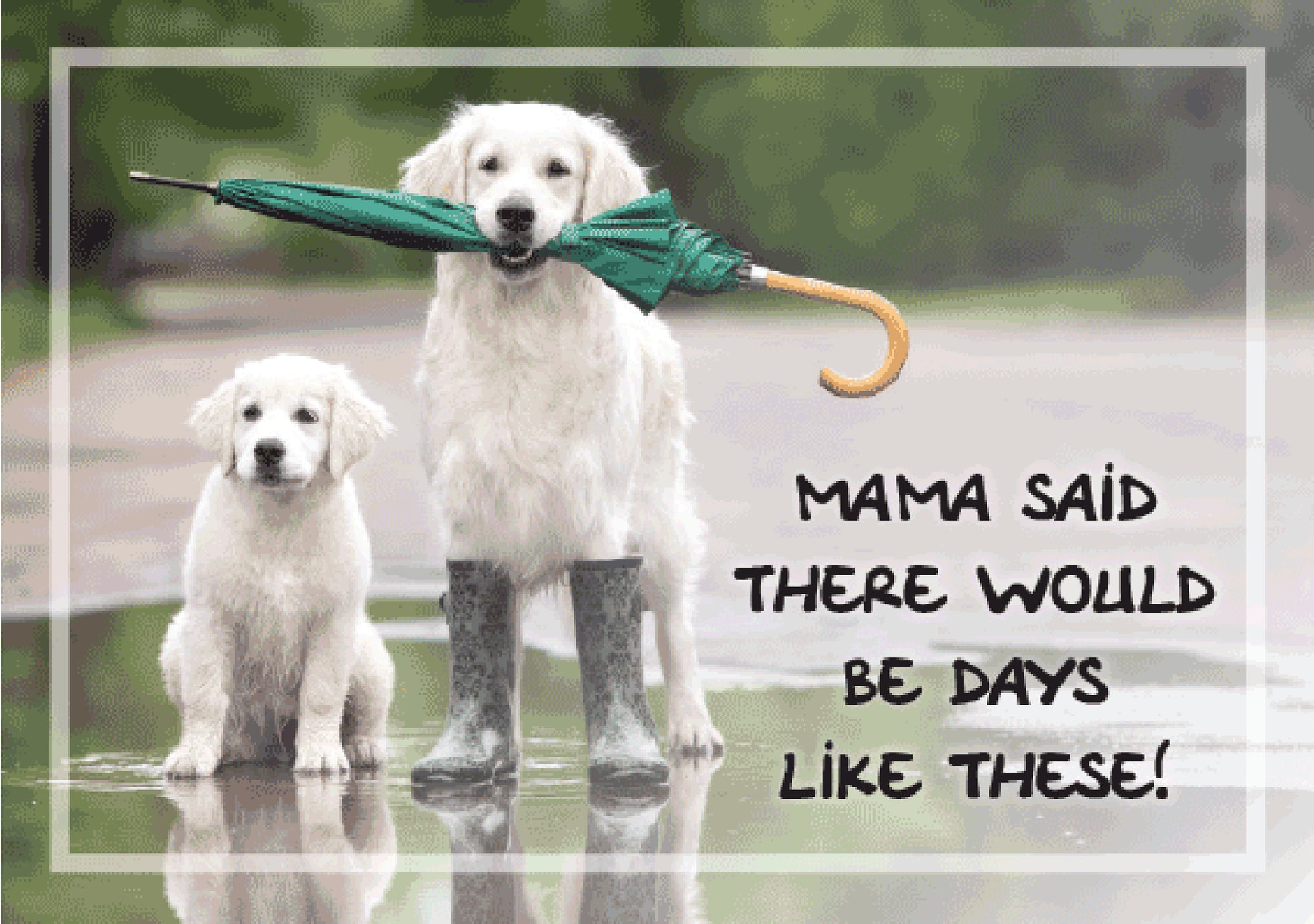 Cope Card - Mama Said There Would Be Days Like These!