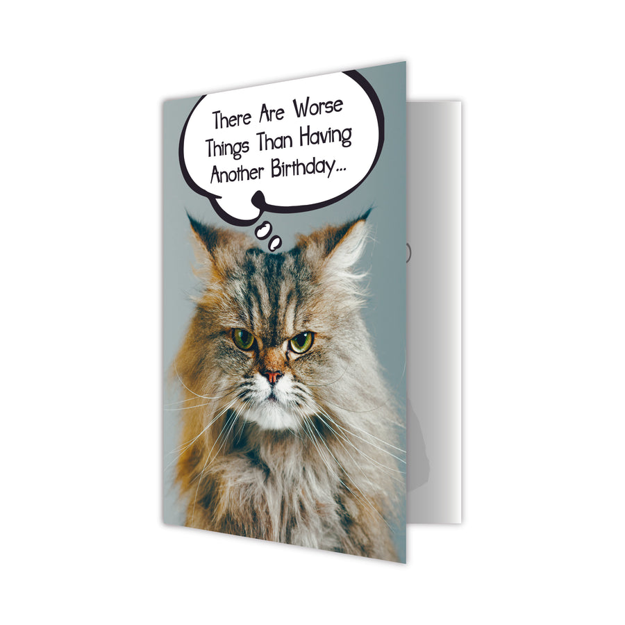 Birthday Cat Card- There Are Worse Things