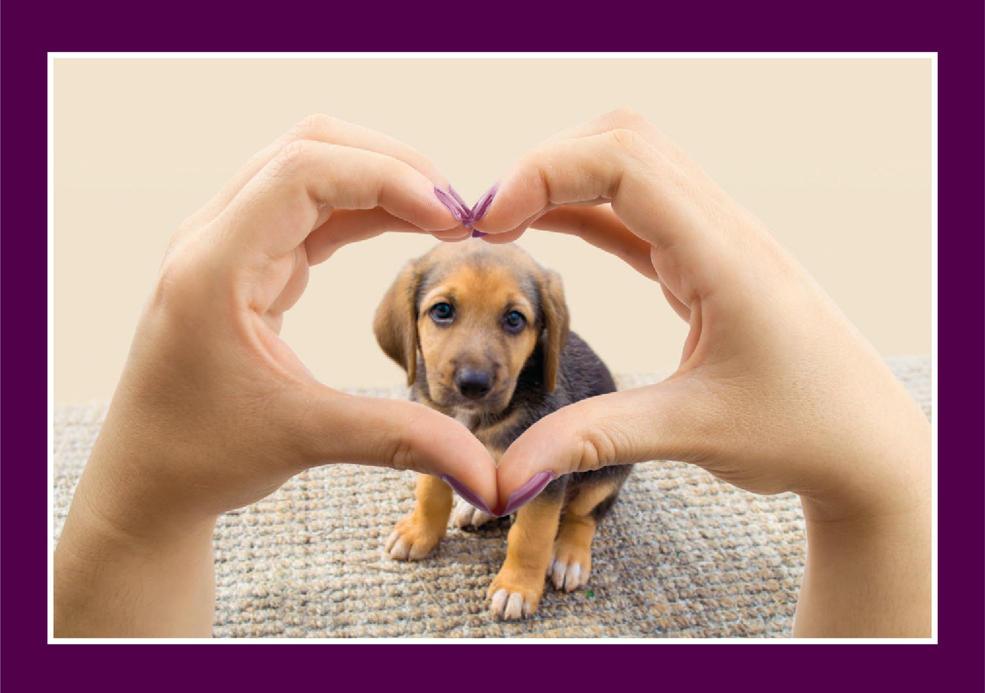 Love - There is Love