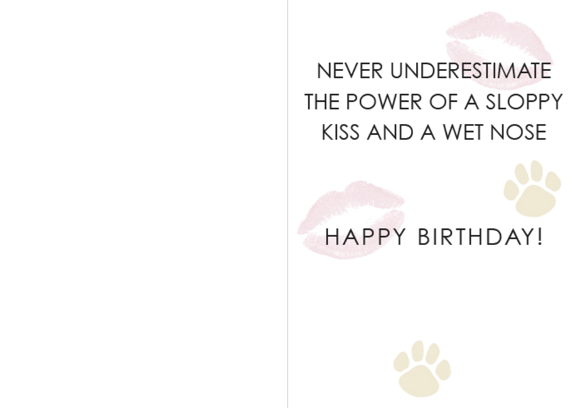 Birthday - Sloppy Kisses