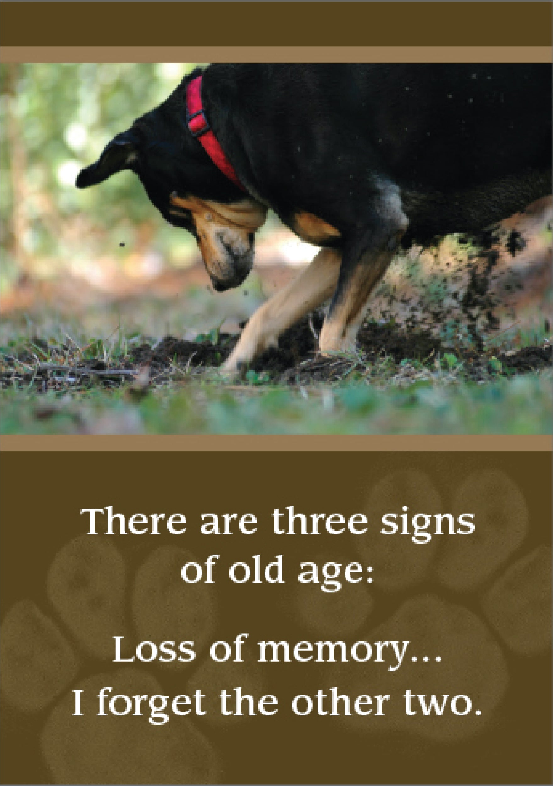 Birthday - Buried Gift