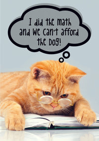 Thumbnail for Birthday Cat - We Can't Afford The Dog