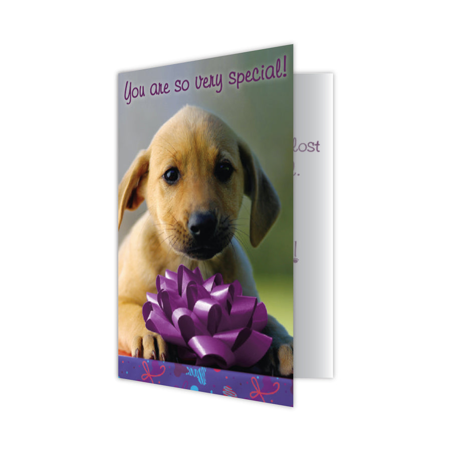 Birthday - New Puppy Smell