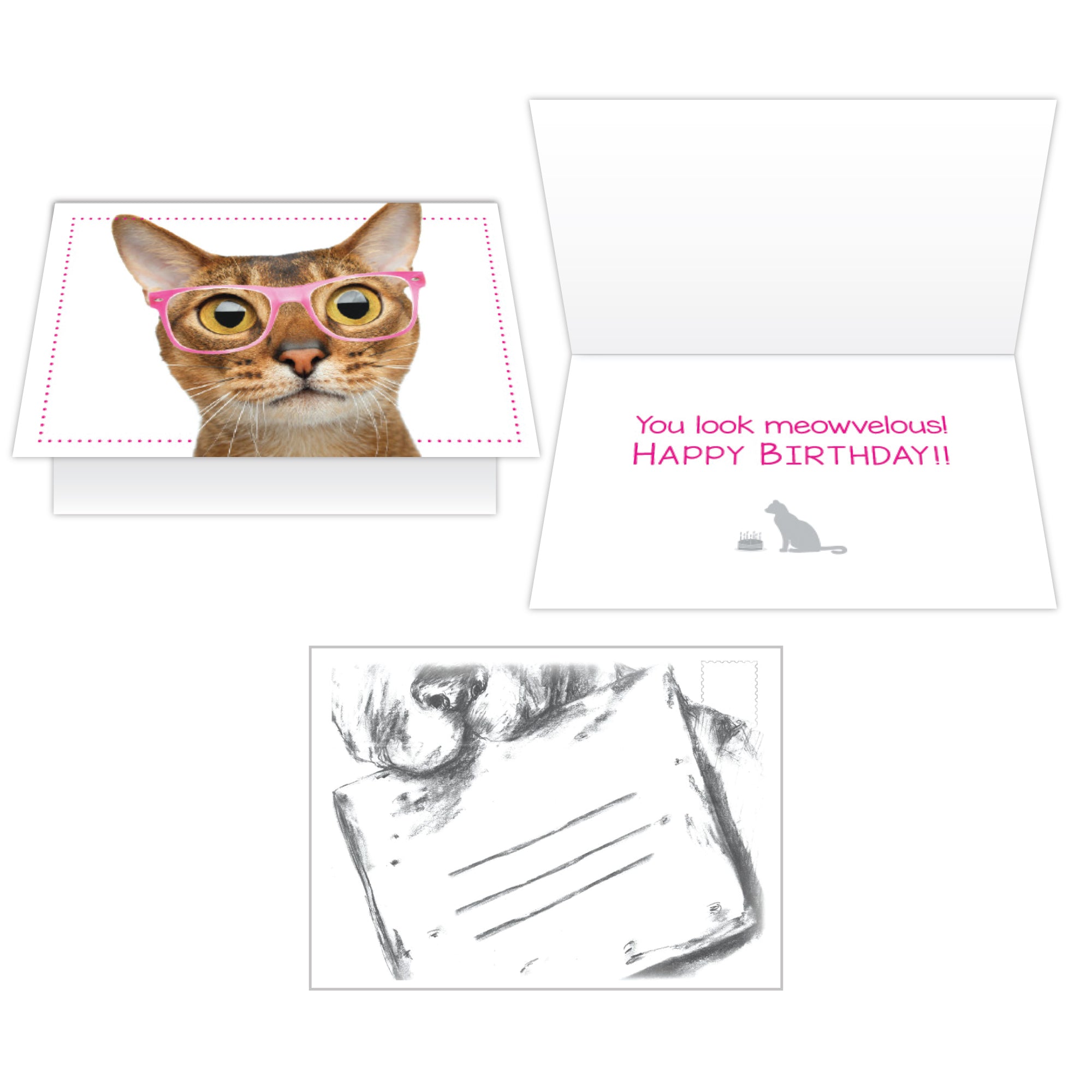 Birthday Cat Card -You Look  Meowvelous